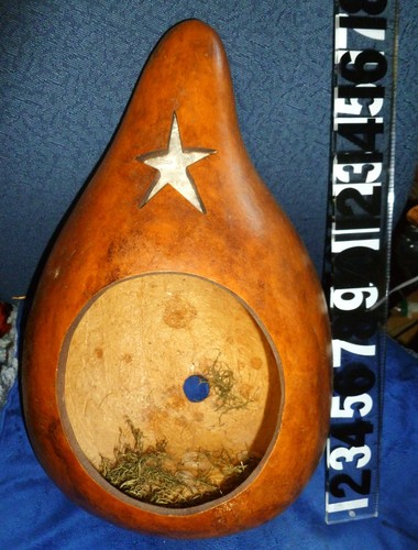 Large gourd star cutout - 18", w/