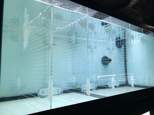 Aquarium divider kit - aquarium,