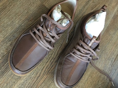 New tsubo xamba chestnut - xamba,