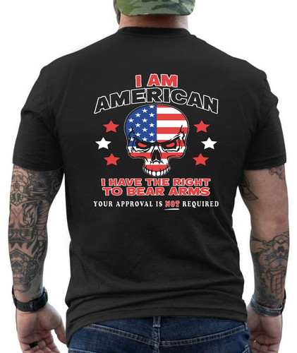 2nd amendment rights shirt - amendment,