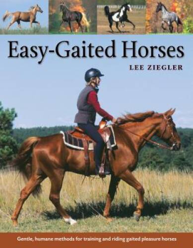 Easy gaited horses - horses:, gentle