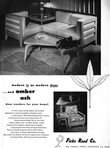 Ficks reed amber - ash, modern