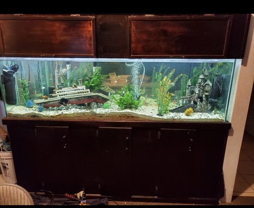 125 gallon pre - pre-owned, fish