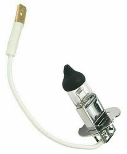 Dci dental belmont - dental,