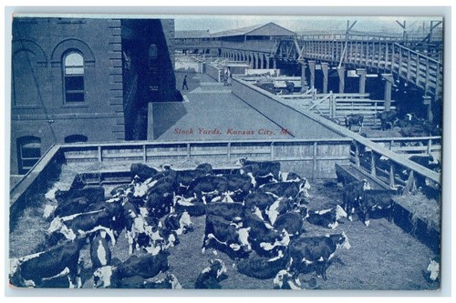 C1910 stock yards cow - stock, barn