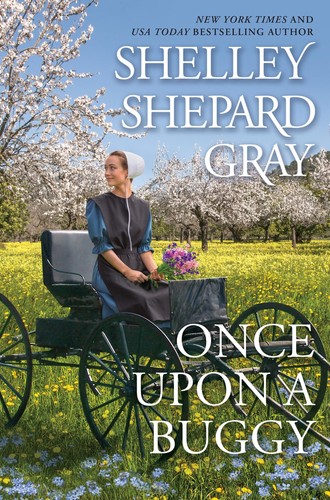 Once upon buggy the - upon, amish