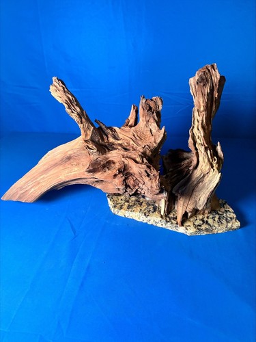 Aquarium fish tank terrarium - fish,
