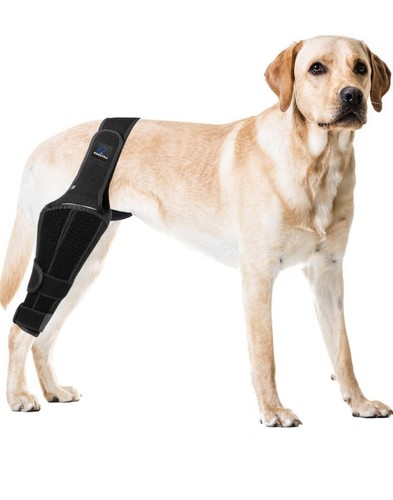 Dog knee brace small - -,