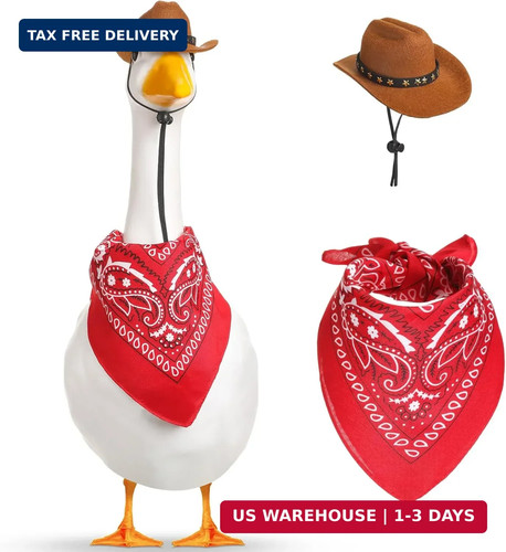 Porch goose outfits - porch,