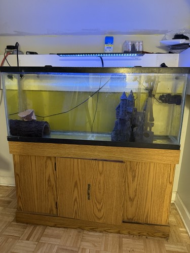 Aquarium fish tank - aquarium,