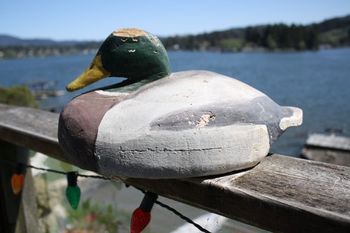 Mallard drake decoy - mallard,