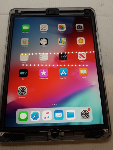 Oem apple ipad - apple, /5/6