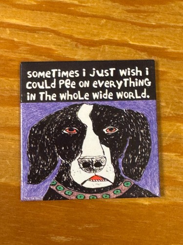 Boston terrier cocker spaniel - boston,