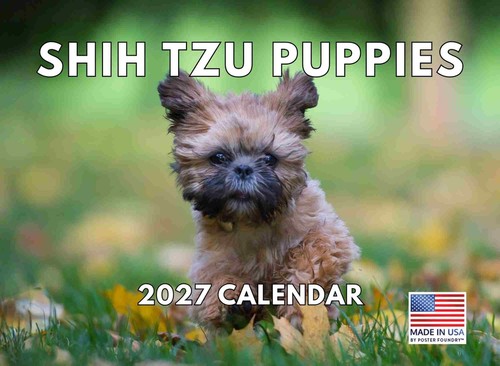 Shih tzu puppy - calendar, 2027