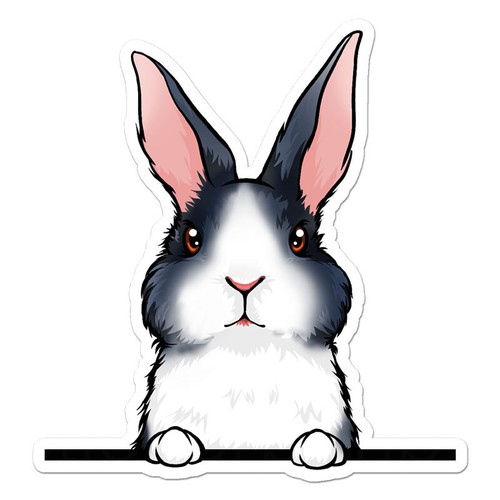 Peeking dutch rabbit vinyl - peeking,