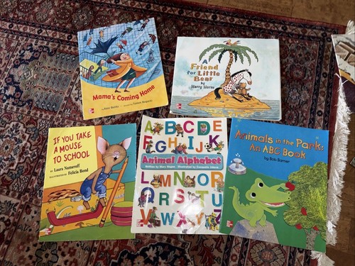 Teacher big books - big,