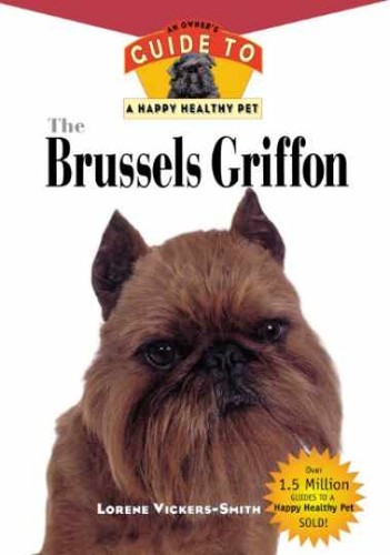 The brussels griffon - griffon:, an