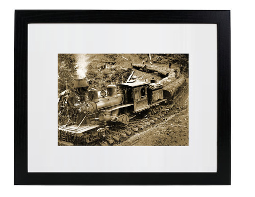 Grays bay logging - logging, company