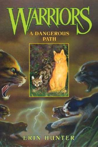Dangerous path - path, #5)