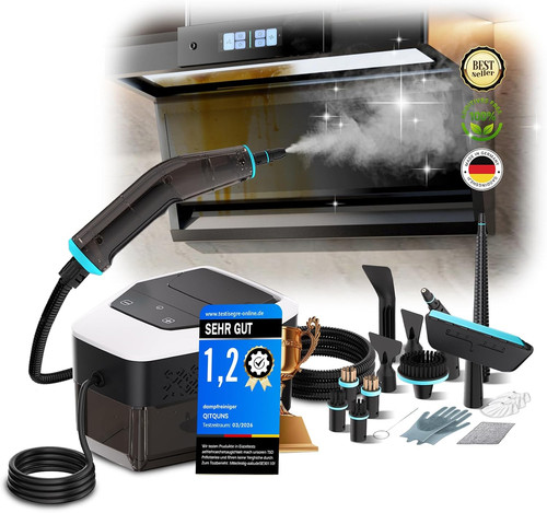 Steam cleaner industry - c4,