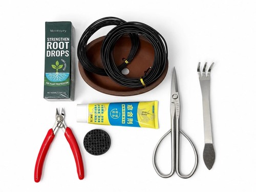 Bonsai starter kit authentic - starter,