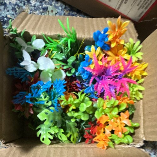 Natural cluster assortment - natural,