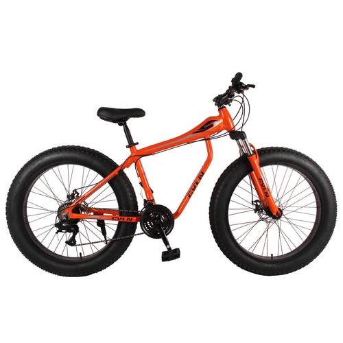 Fat tire bike for - tire,