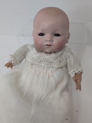 Antique german dream - 11.5”,