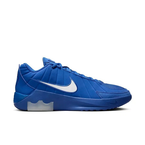 Nike lebron witness shoes - witness,