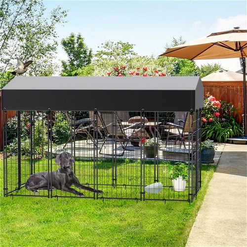 Xxlarge outdoor dog - xxlarge, house