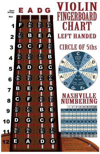 Left hand violin - hand, fiddle