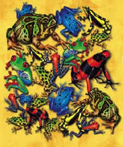 Frog collage new shirt - collage, s