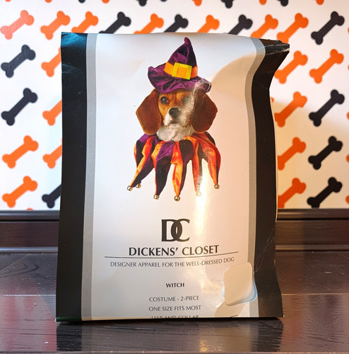 Dickens closet witch - dickens', dog