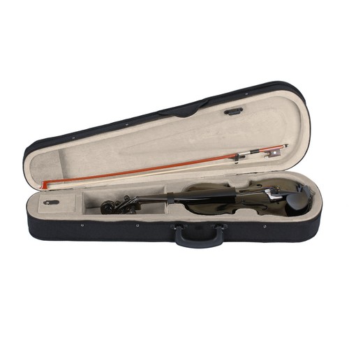 Acoustic violin with - violin, hard
