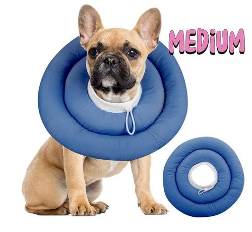 Pet recovery collar - pet,