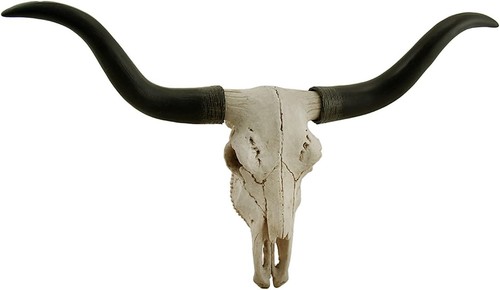 Impressive inch longhorn - impressive, 20