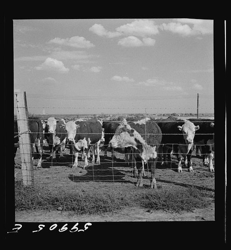 Lincoln nebraska 1941 - nebraska,