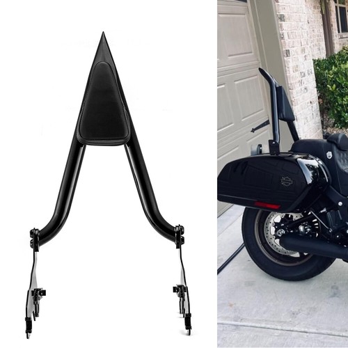 Tall backrest sissy bar - tall,