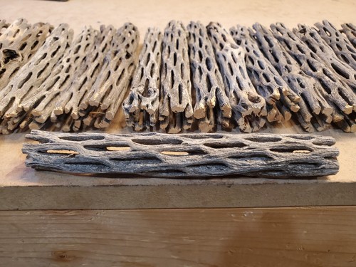 Pcs inch cholla wood - 25,