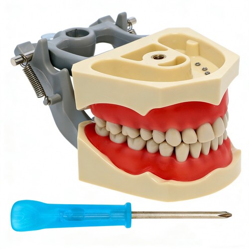 Columbia dentoform 860 type - columbia,