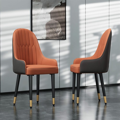 Luxurious dining chair - dining,