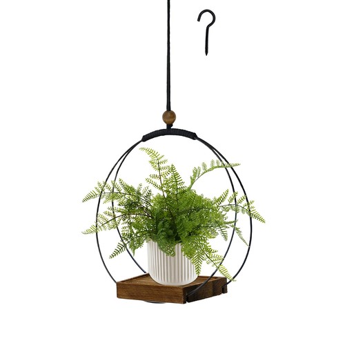 Hanging planter for - for, indoor