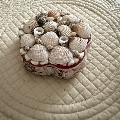 Vtg handmade seashell - seashell, red