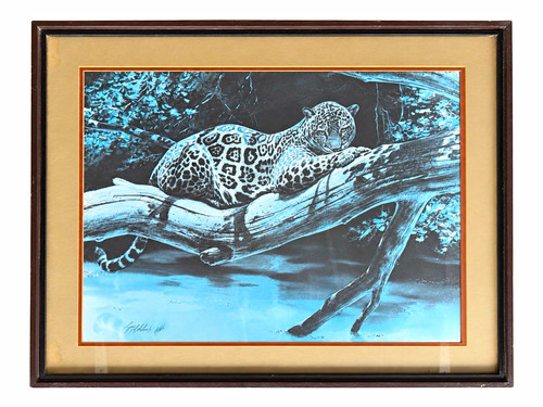 Guy coheleach signed - coheleach,