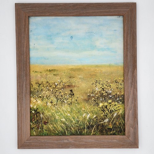 Original wildflower meadow - wildflower,