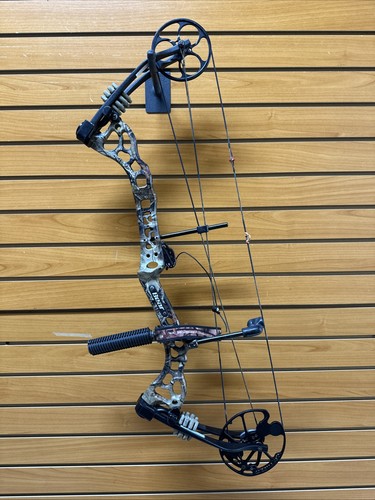 Bear archery attitude - bear,