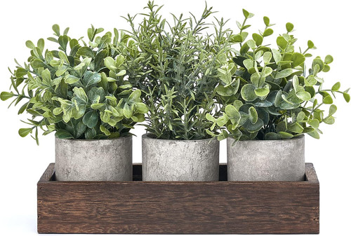 Pack mini potted fake - pack,