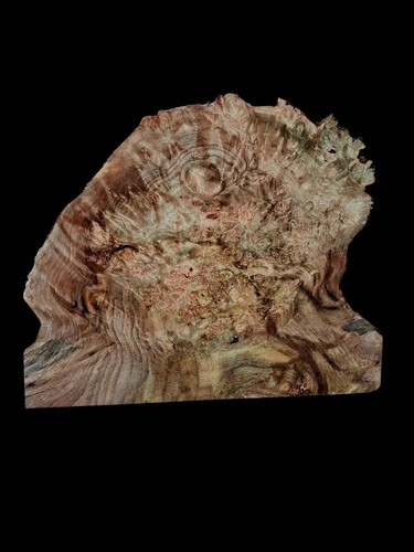 Mind blowing birdseye - xl, maple