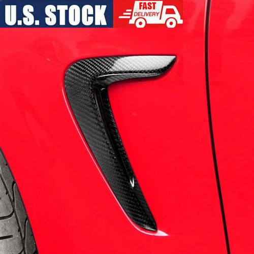 Real carbon side - carbon, fender