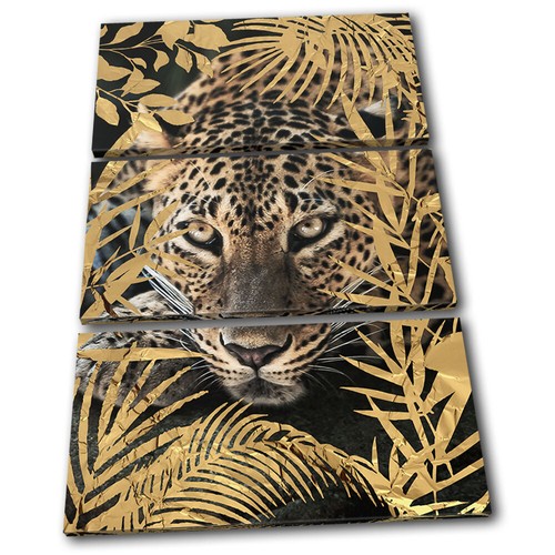 Leopard tropical big cat - leopard,
